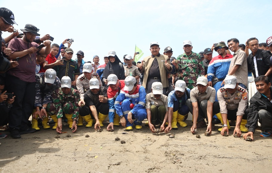 Pertamina Ep Dukung Konservasi Tuntong Laut Di Aceh Tamiang