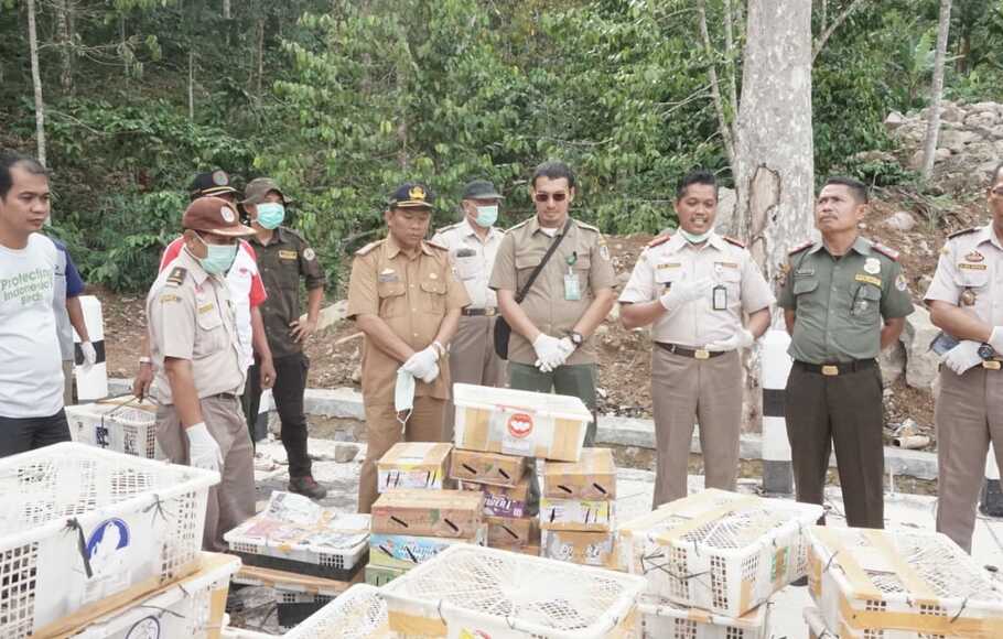 Balai Karantina Lampung Gagalkan Penyelundupan Ribuan Ekor Burung