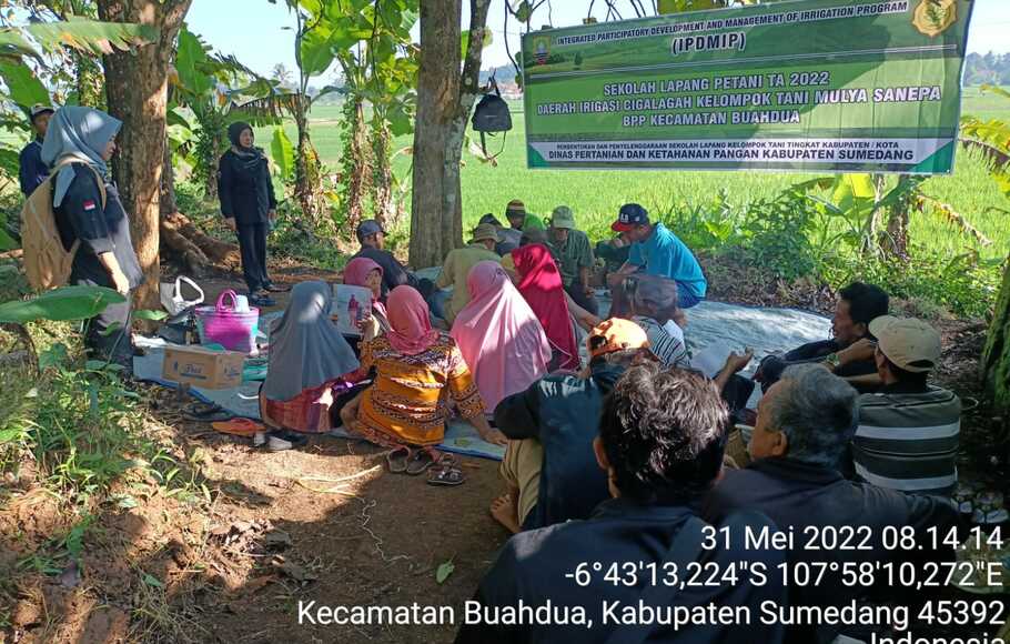 Genjot Produktivitas Kementan Tingkatkan Pengetahuan Dan Kemampuan Petani