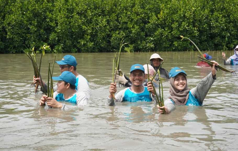 Libatkan Tenant Best Tanam Pohon Mangrove