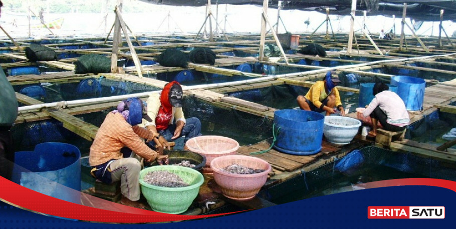 Nilai Produksi Perikanan Budidaya Rp 30 Triliun