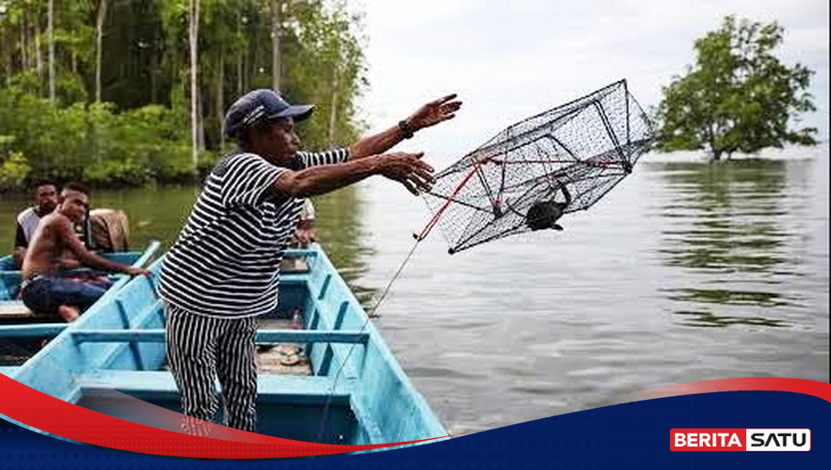 Punya Potensi Hutan Mangrove Teluk Bintuni Siap Jadi Produsen Olahan