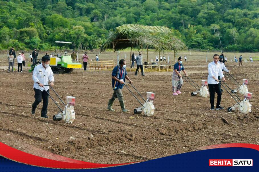 Mengenal Apa Itu Food Estate Yang Bisa Sejahterakan Petani Indonesia