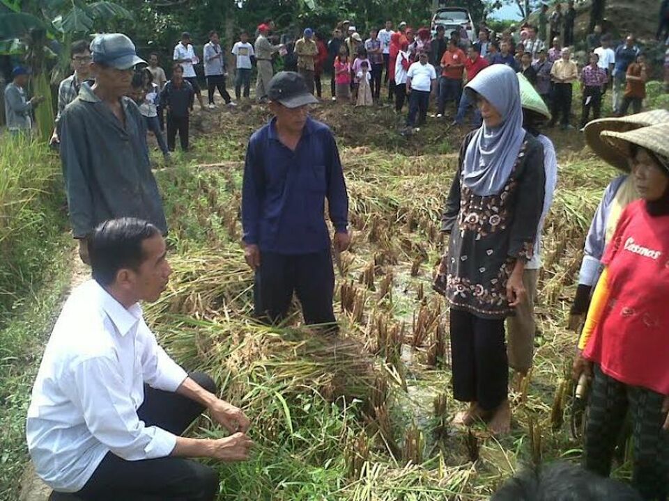 Ini Alasan Di Balik Visi Misi Pertanian Dan Ketahanan Pangan Jokowi