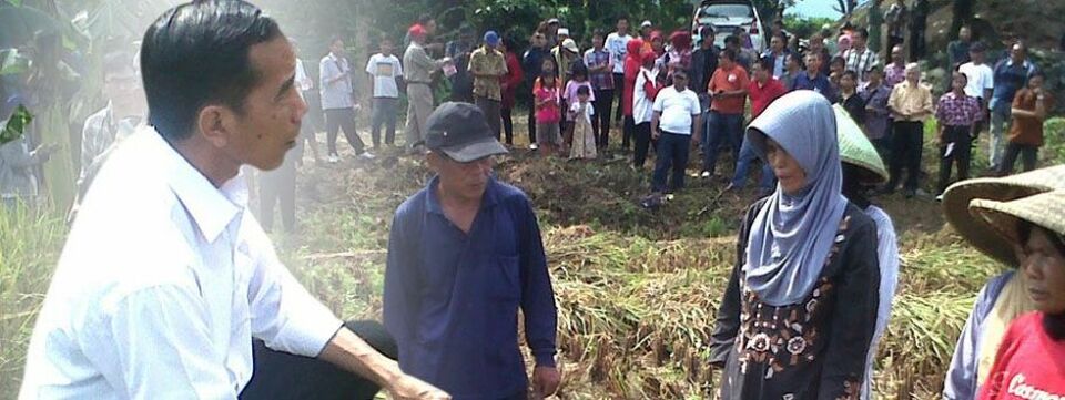 Jokowi Sampaikan Visi Misi Pertanian Dan Ketahanan Pangan Di Sawah