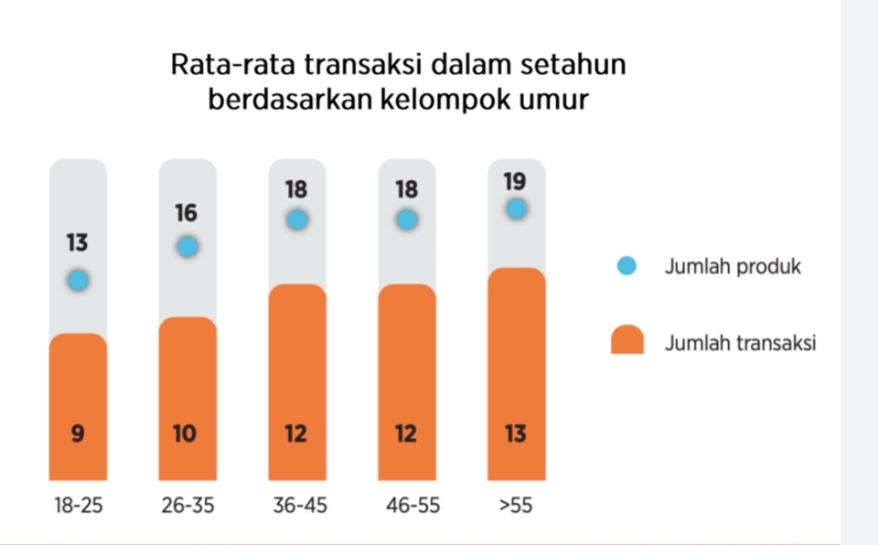 Kenaikan Jumlah Transaksi Di E Commerce Sejalan Bertambahnya Usia