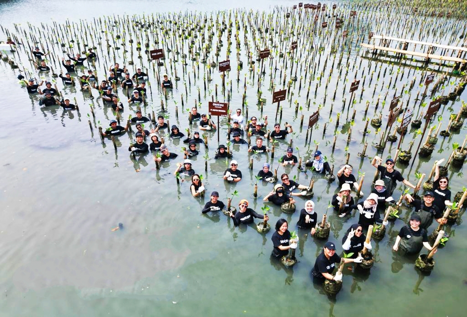 Lestarikan Hutan Mangrove Solusi Kurangi Emisi Karbon