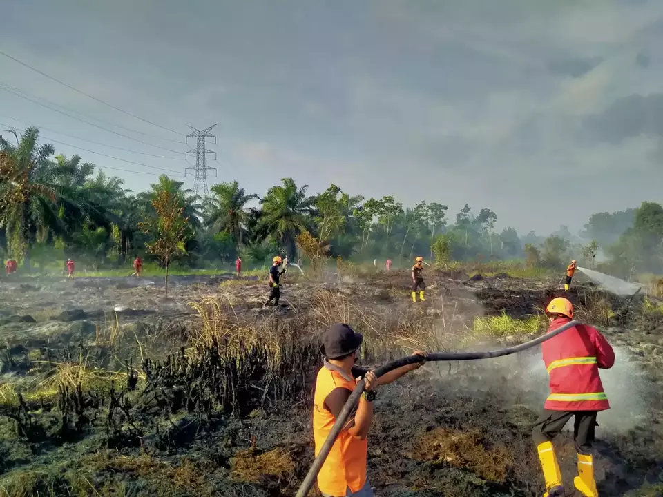 Hektare Lahan Di Riau Terbakar