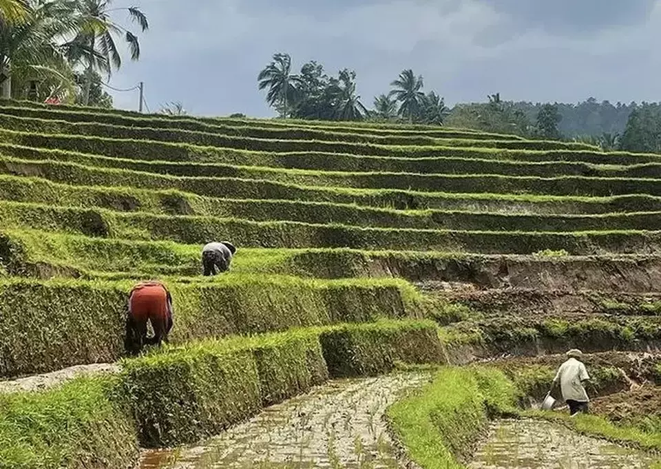 Kemendikbudristek Kenalkan Tradisi Bali Subak Dan Jalur Rempah Di WWF