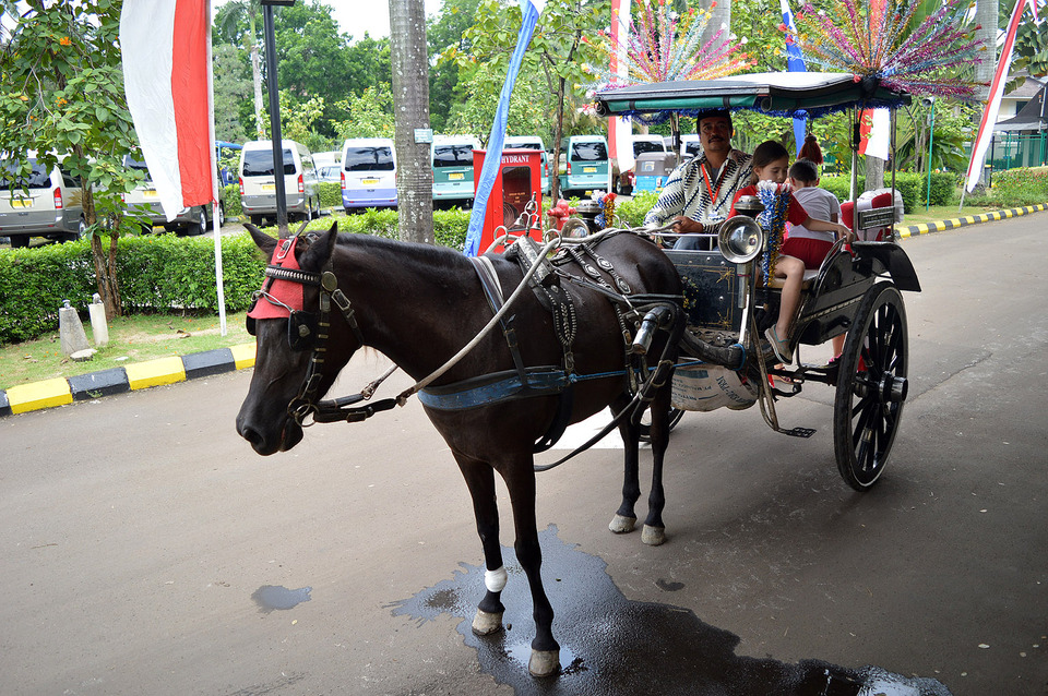 Delman Dilarang Di Monas Kusir Kami Siap Dibina Bukan Dibinasakan