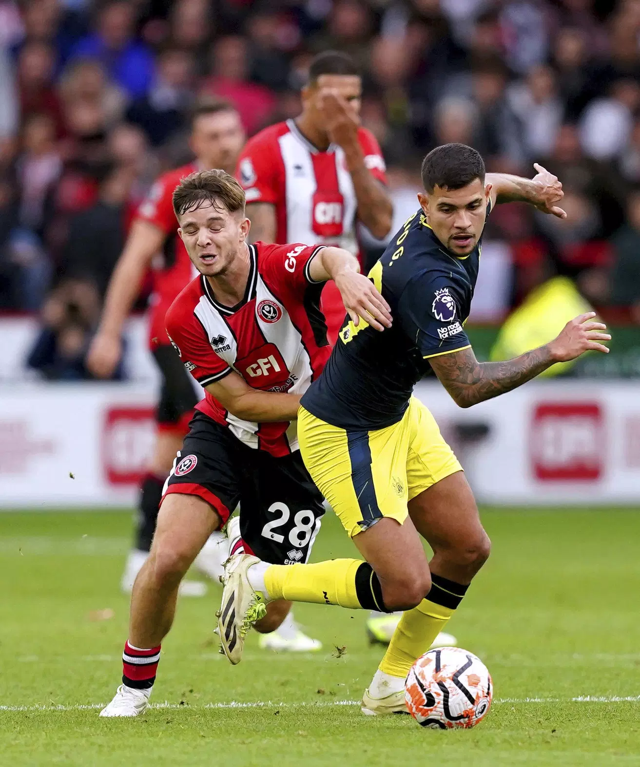 Pemain Sheffield United, James McAtee (kiri) dan gelandang Newcastle Bruno Guimaraes berebut bola, saat pertandingan sepak bola Liga Inggris di Bramall Lane, Sheffield, Inggris, Minggu, 24 September 2023.