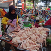 Harga Ayam di Salatiga Terus Melonjak, Konsumen Mengeluh