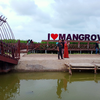 Hutan Mangrove Instagramable, Spot Wisata Terbaru di Tangerang