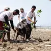 Hadir di Tengah Nelayan Karawang, Relawan Ganjar Tanam Mangrove dan Berikan Bantuan