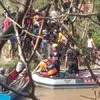 Niatnya Mau Jaring Ikan di Sungai, Ribuan Malah Tewas Diterkam Buaya