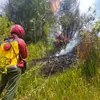 Kebakaran Hutan di Lereng Gunung Semeru Belum Padam