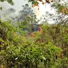 Kebakaran Kembali Melanda Gunung Ciremai, Lokasi Swafoto Ludes