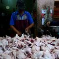 Jelang Ramadhan, Harga Ayam di Serang Banten Tembus Rp 140.000
