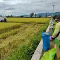 Bulog Sulteng Terapkan Ketentuan HPP Baru dalam Penyerapan Beras Petani