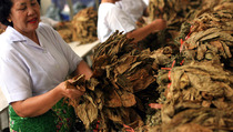 Pemerintah 'Peras' Industri Rokok