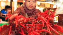 Pemerintah Wajib Kontrol Harga Bahan Pangan