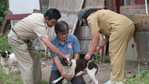 50-an Warga Maluku Meninggal Akibat Rabies