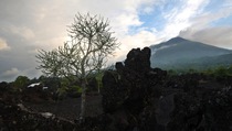 Gamalama Meletus, Ternate Tertutup Abu Vulkanik