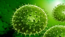 Ilmuwan Belanda Ciptakan Virus Flu Mematikan