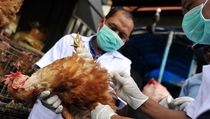 RS Sampit Rawat Pasien Suspek Flu Burung