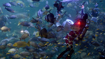 Hari Anak Nasional, Sea World Diskon 50%