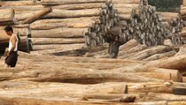 Penjualan Kayu Terkena Dampak Krisis Eropa