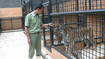 Target Taman Safari Lima Tahun Mendatang