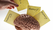 5 Cara untuk Mempertajam Memori Otak