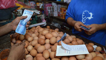 Tingginya Harga Telur di Yogyakarta Dipengaruhi Produksi Jagung