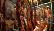 Oktober, 50.000 Sapi Impor Akan Masuk Indonesia