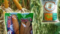 Tersangka Korupsi Benih Baru Ditahan Setelah 8 Bulan Disidik