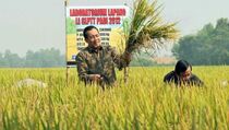 Sensus Pertanian Telan Dana Rp 1,59 Triliun