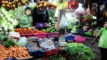 Produksi Sayur di Kendari Turun Akibat Kemarau