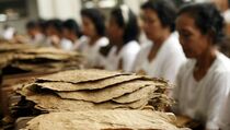 Soal FCTC, Gubernur Jateng: Tengok Kompetitor Dulu