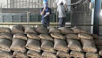 SCG Targetkan Produksi 360.000 Ton Semen