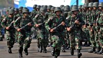 Latihan Bersama TNI dan Tentara AS Ditinjau