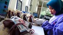 Ramadan, PMI Subang Kekurangan Stok Darah