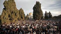 Timses Sebut Dukungan Jokowi-JK pada Kemerdekaan Palestina Bukti Ketegasan Diplomasi 