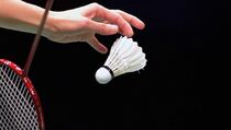Della/Rosyita Melaju ke Perempat Final Korea Masters