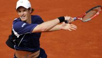 Andy Murray Tersingkir dari Turnamen ATP Rotterdam
