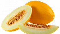  UGM Bagikan Jutaan Benih Buah Melon untuk Petani