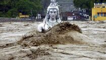 10 Singa dan Ratusan Hewan Mati Akibat Banjir India