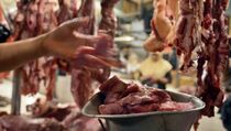 BUMN Berdikari Punya Daging Sapi Murah Berkualitas