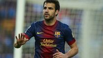 Soal Fabregas, MU Ajukan Tawaran Terakhir