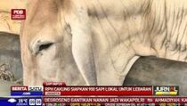 RPH Cakung Belum Dapat Jatah Sapi Impor 